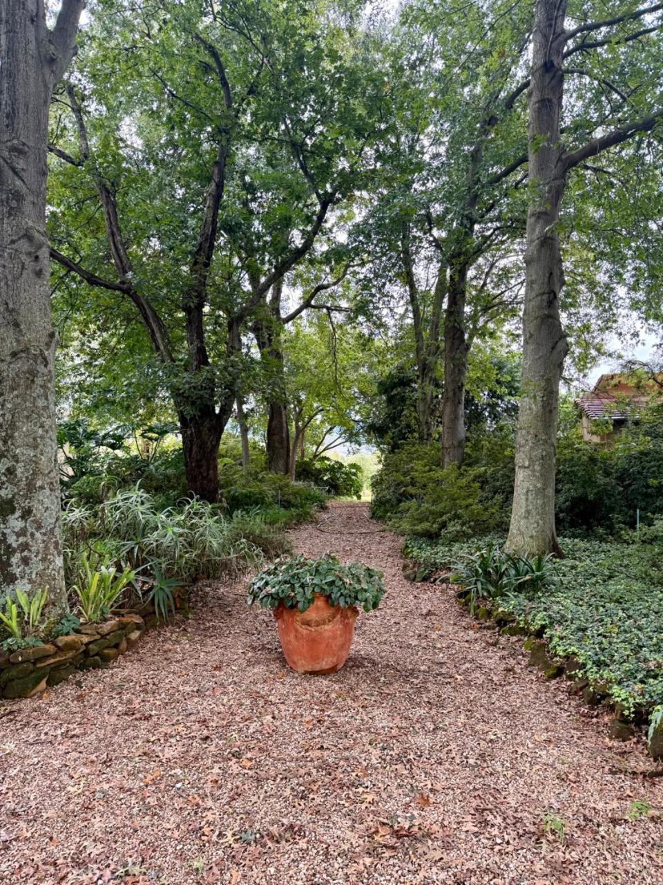 Ama Casa Cottages Champagne Valley Экстерьер фото